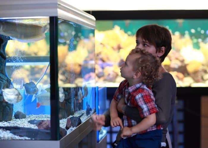 Fun Places To Eat With Kids In Charlotte NC